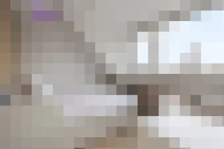 Kratonlaan 72 Zevenhuizen thumbnail 20