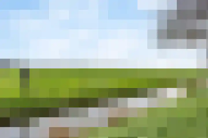 Kratonlaan 72 Zevenhuizen thumbnail 25