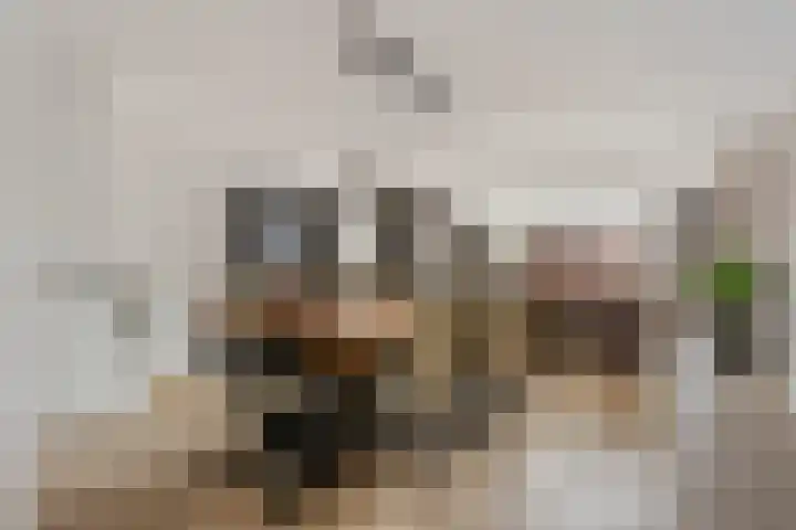 Kratonlaan 72 Zevenhuizen thumbnail 7