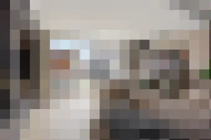 Kratonlaan 72 Zevenhuizen thumbnail 8