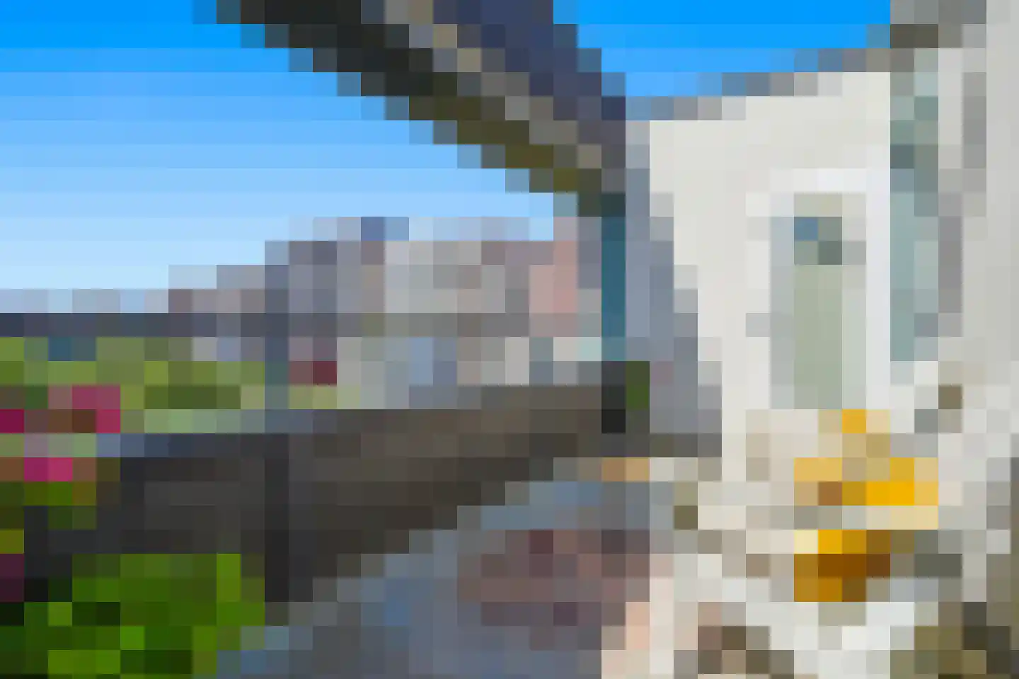 Kratontuin 21 Amsterdam thumbnail 10