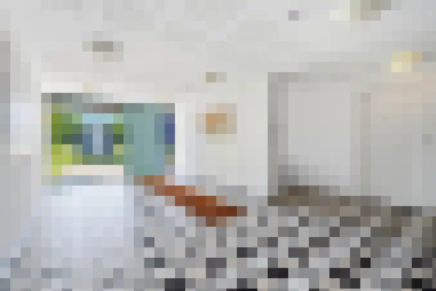 Kratontuin 21 Amsterdam thumbnail 21