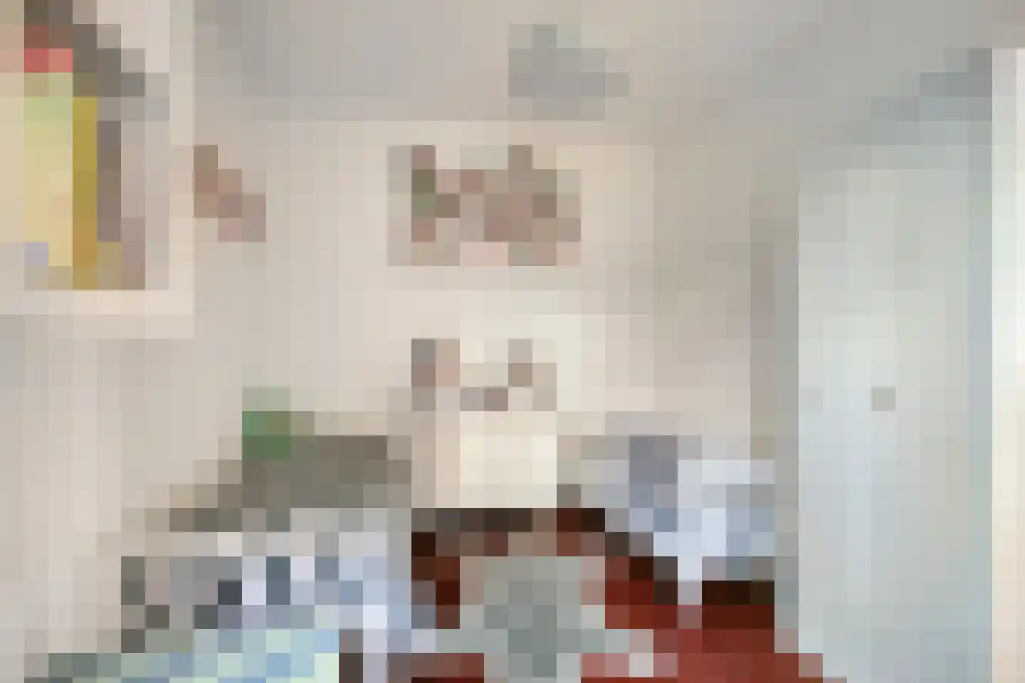 Kratontuin 57 Amsterdam thumbnail 20