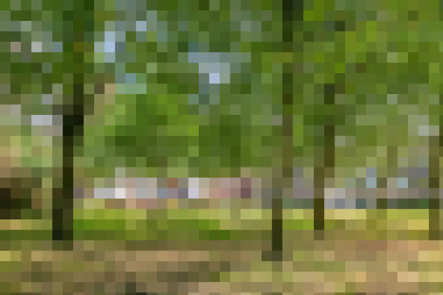 Kratontuin 57 Amsterdam thumbnail 33