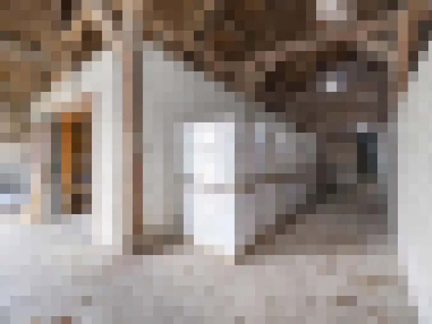 Krauwelsgors 2 Langeweg thumbnail 12