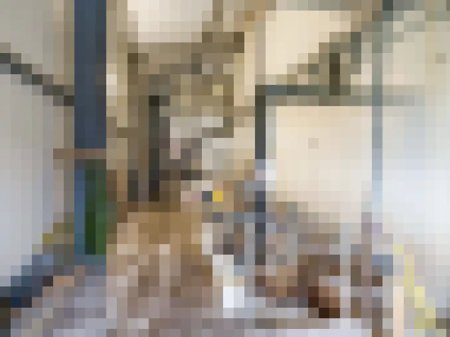 Krauwelsgors 2 Langeweg thumbnail 14