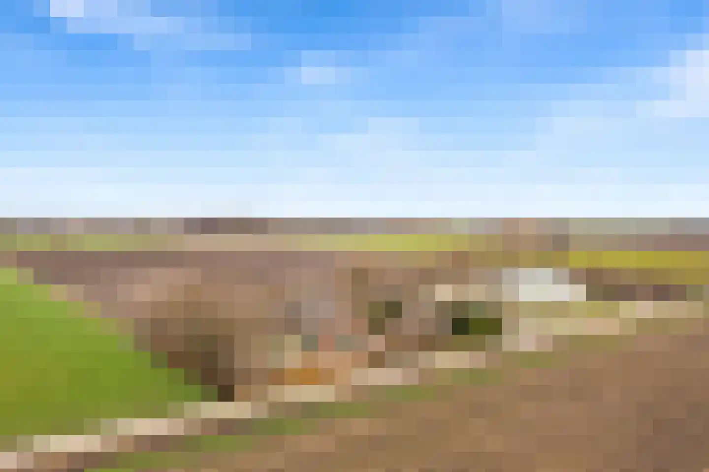 Krauwelsgors 2 Langeweg thumbnail 16