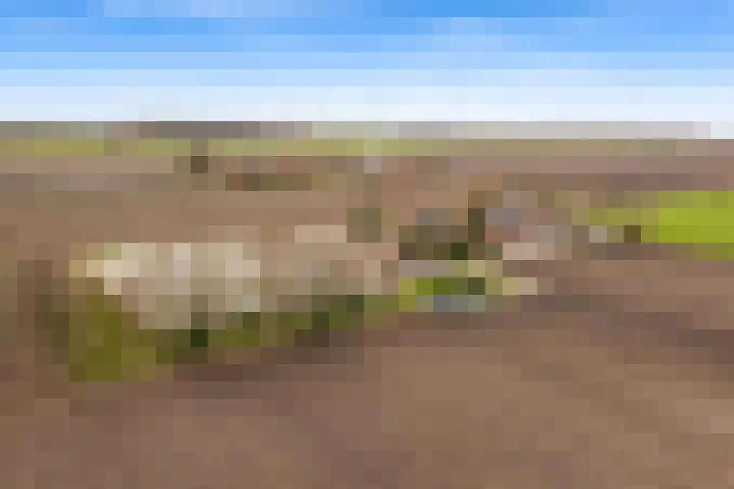Krauwelsgors 2 Langeweg thumbnail 17