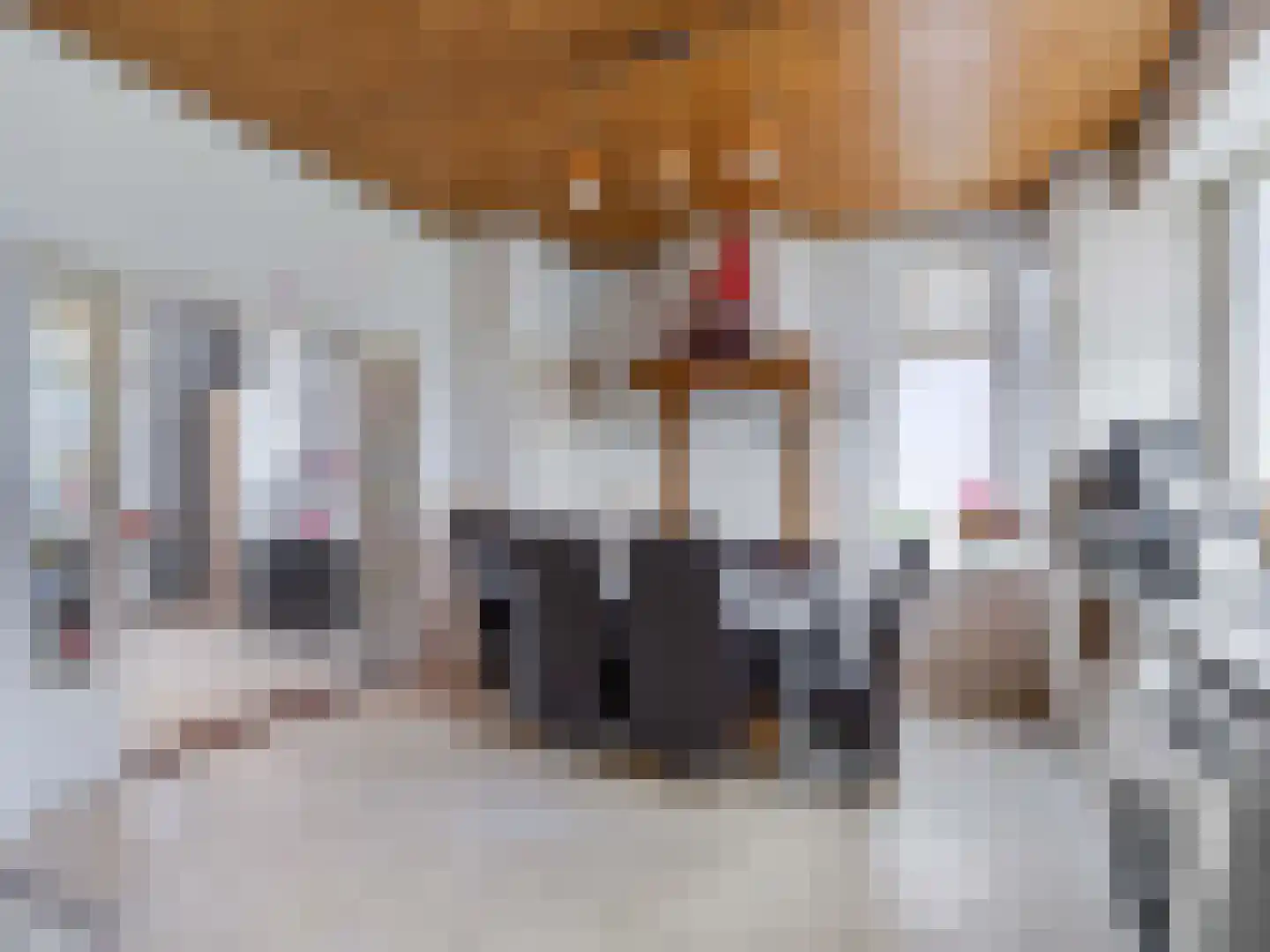 Krauwelsgors 2 Langeweg thumbnail 19