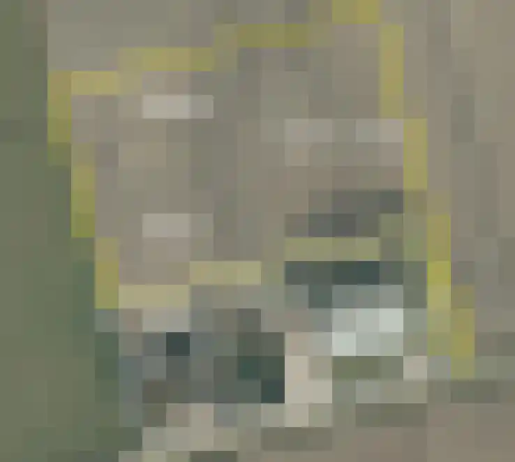 Krauwelsgors 2 Langeweg thumbnail 30