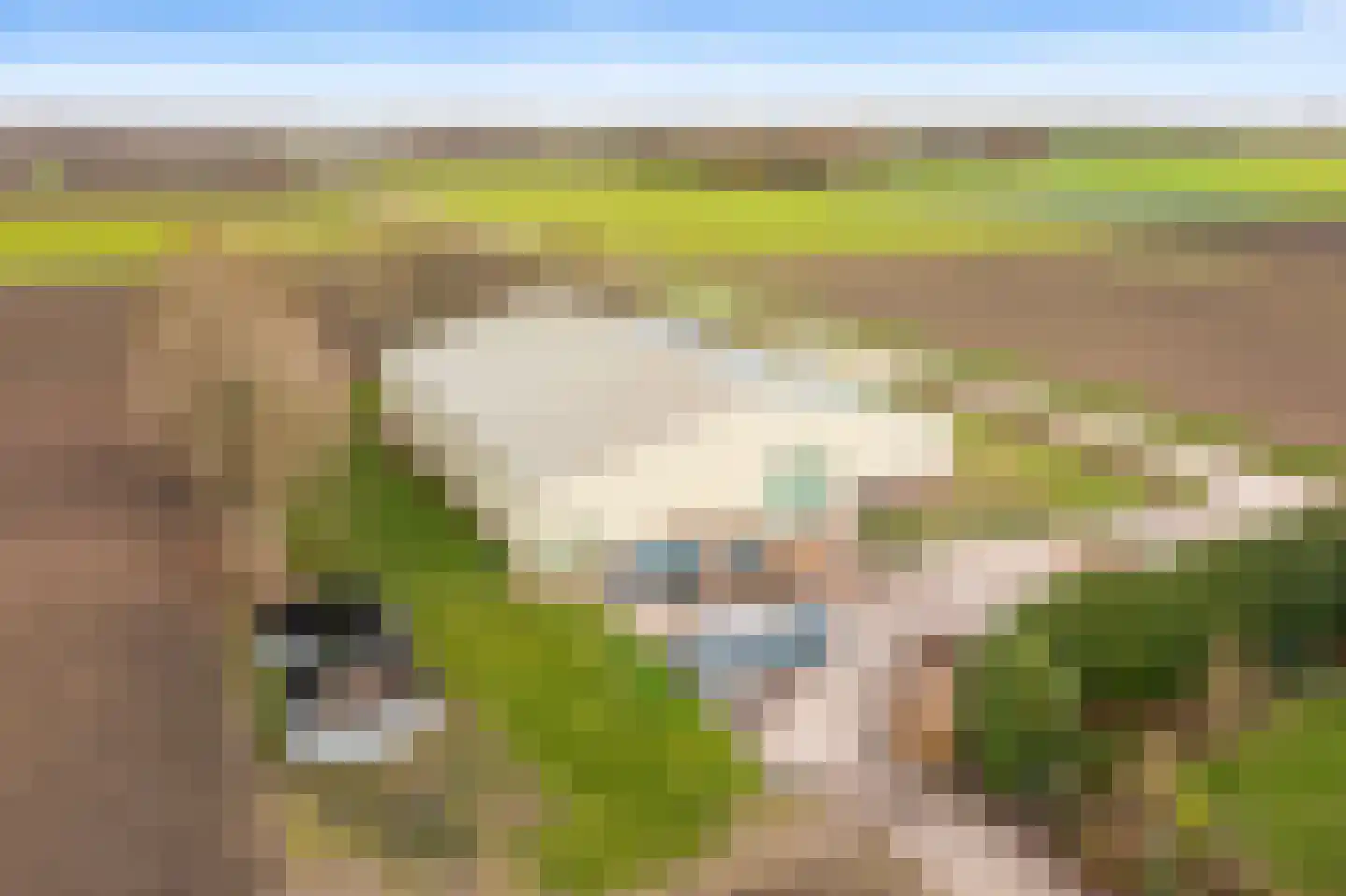 Krauwelsgors 2 Langeweg thumbnail 5
