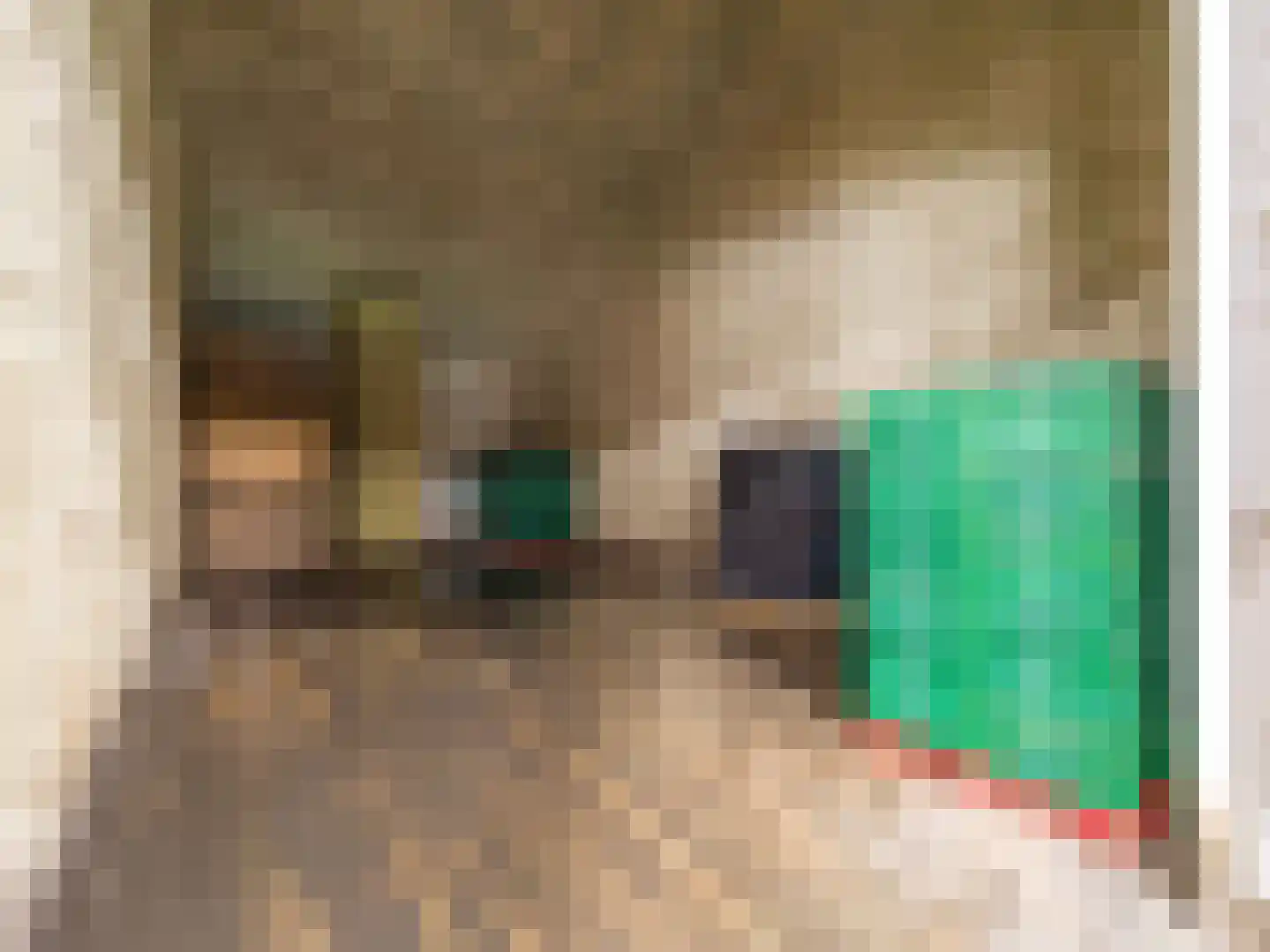 Krauwelsgors 2 Langeweg thumbnail 7