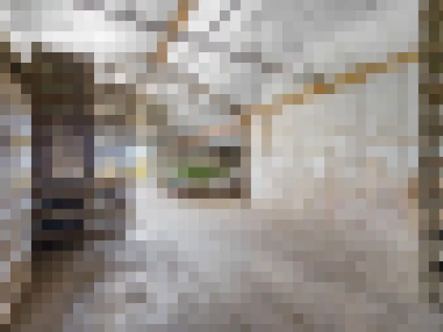 Krauwelsgors 2 Langeweg thumbnail 8