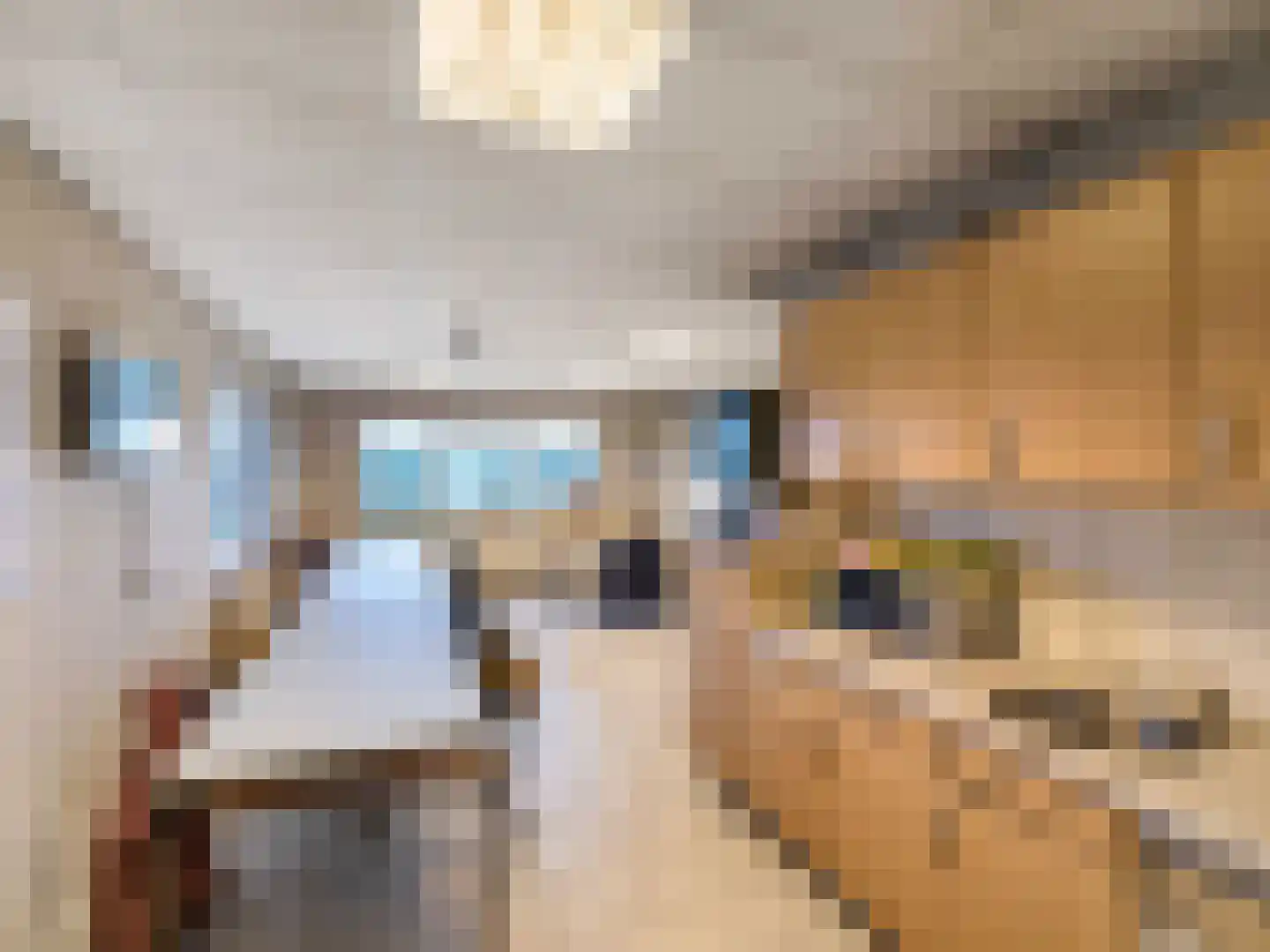 Krauwelsgors 2 Langeweg thumbnail 9