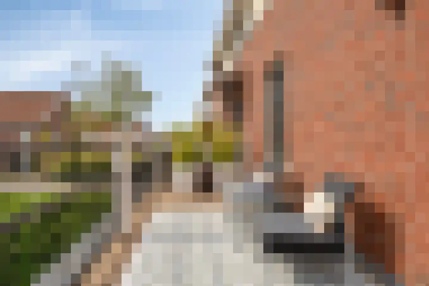 Kravelsbeemden 3 Helmond thumbnail 25