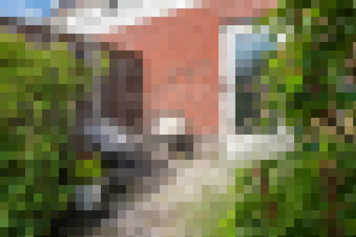 Kravelsbeemden 5 Helmond thumbnail 61