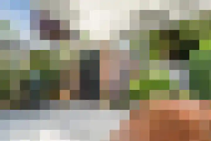 Krayenhofflaan 102 Nijmegen thumbnail 41