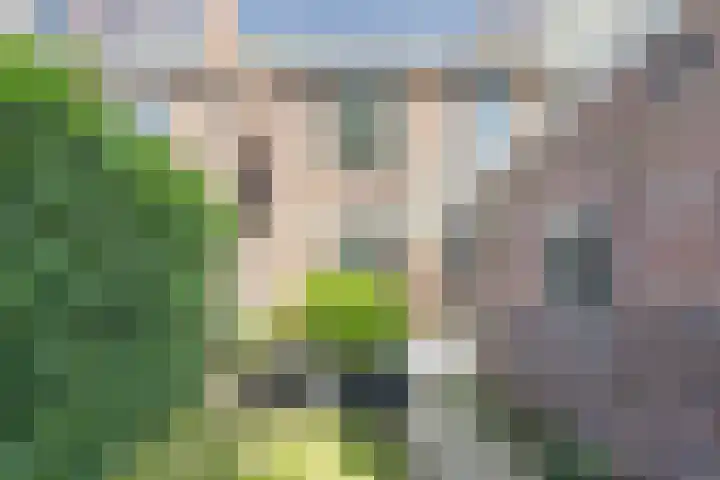 Krayenhofflaan 102 Nijmegen thumbnail 44