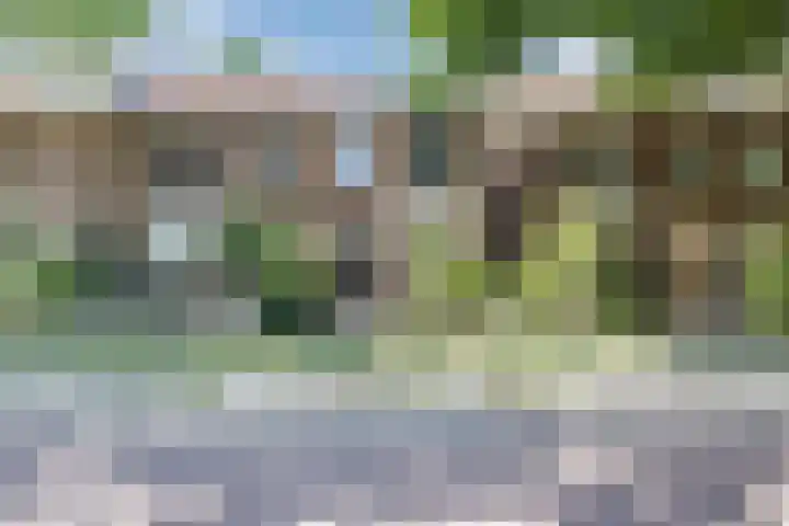 Krayenhofflaan 102 Nijmegen thumbnail 51
