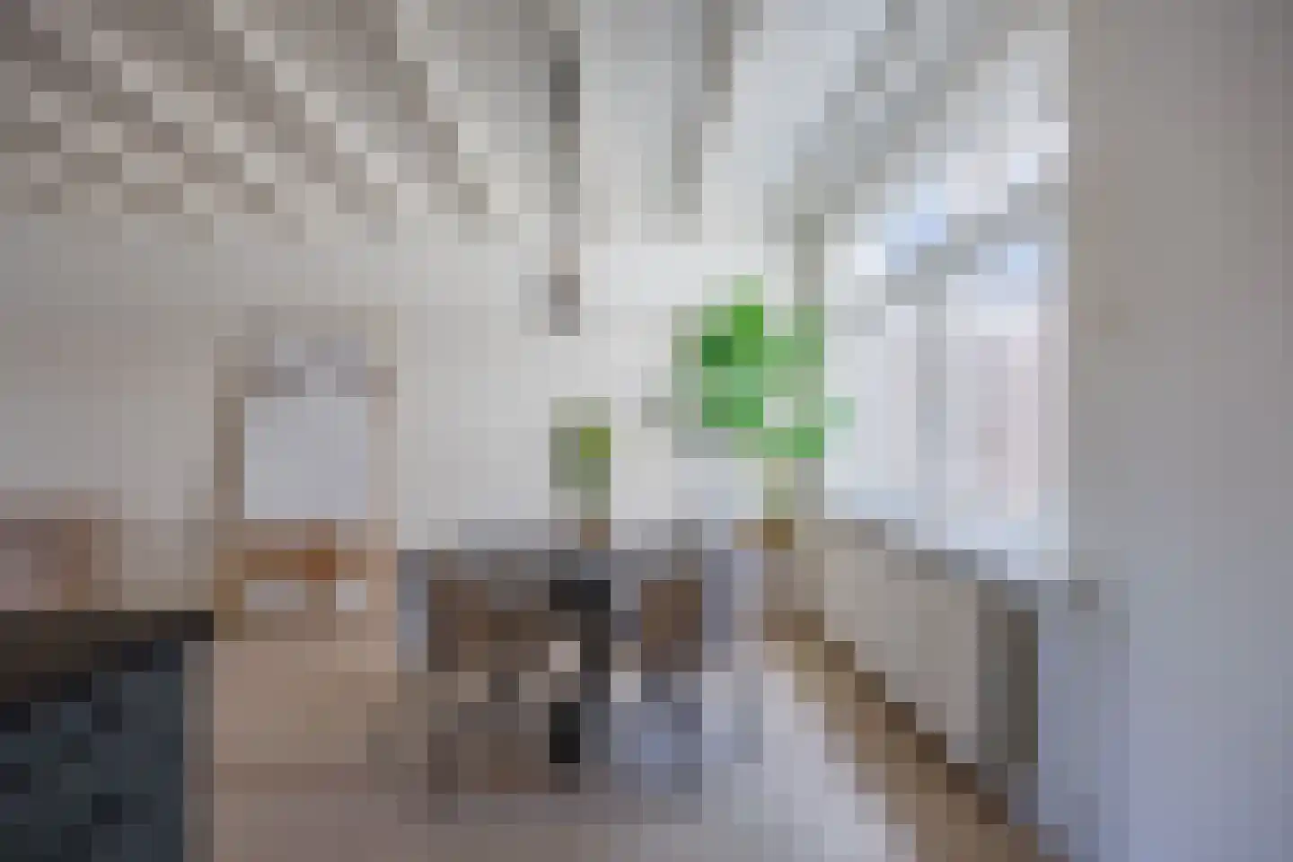 Krayenhofflaan 104 Nijmegen thumbnail 16