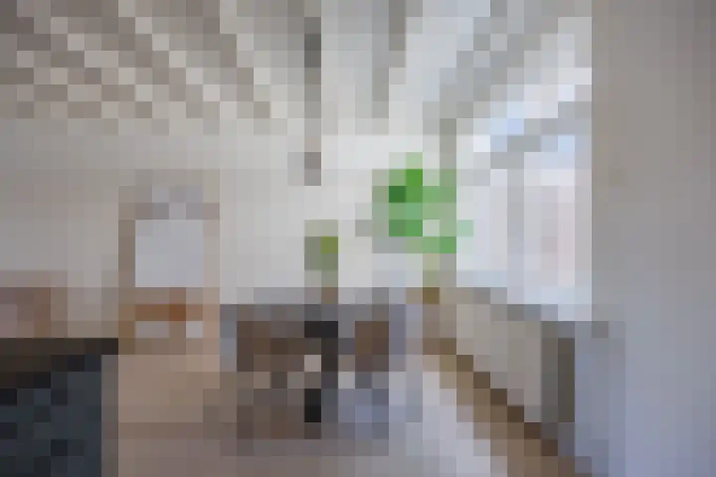 Krayenhofflaan 104 Nijmegen thumbnail 17