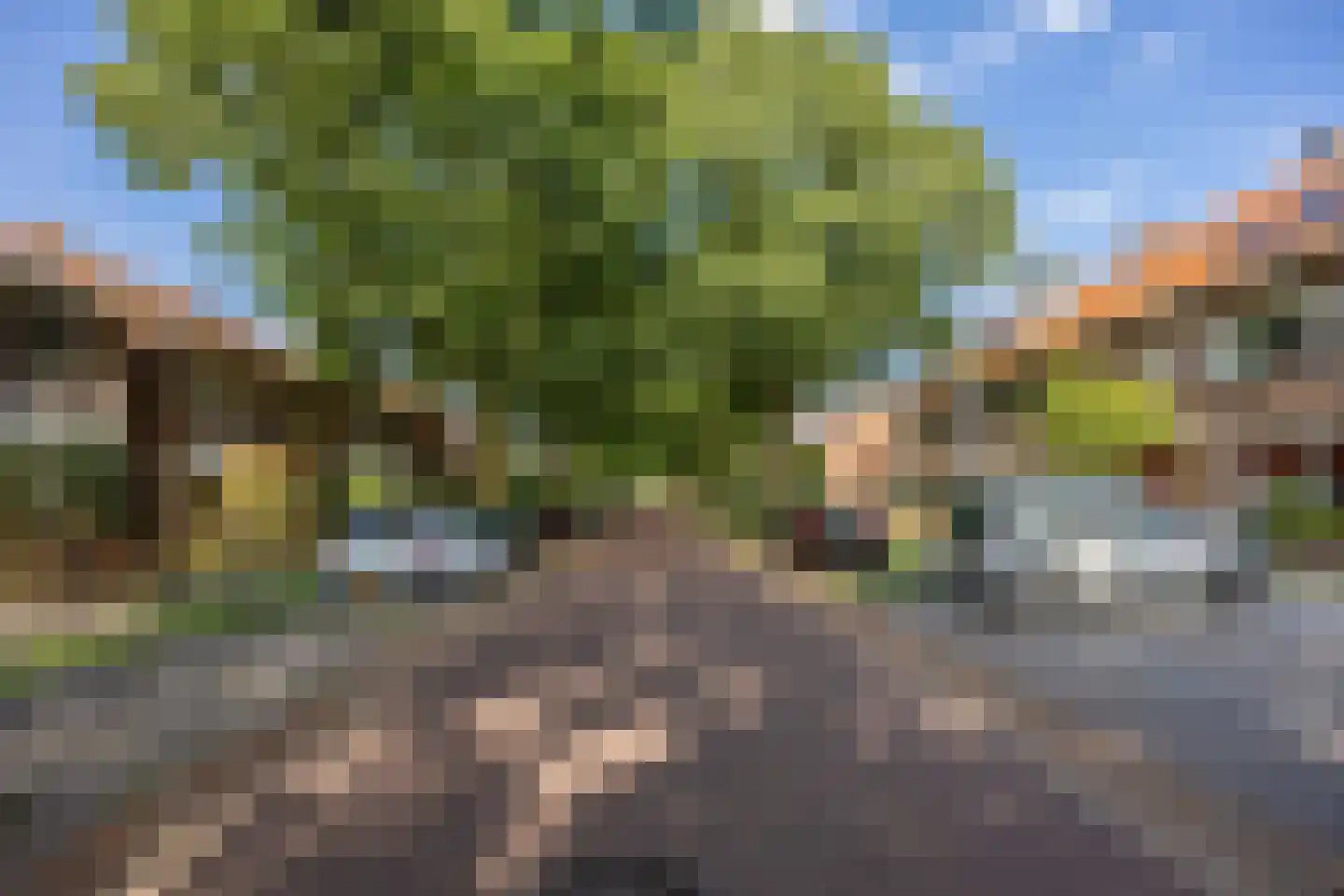 Krayenhofflaan 104 Nijmegen thumbnail 4