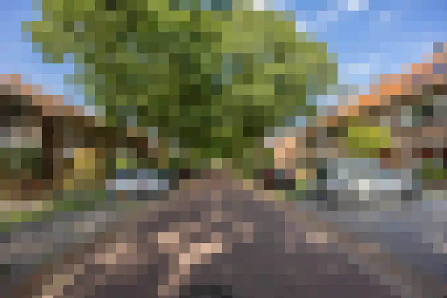 Krayenhofflaan 104 Nijmegen thumbnail 6