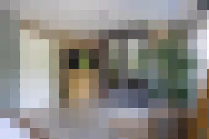 Krayenhofflaan 110 Heemskerk thumbnail 13