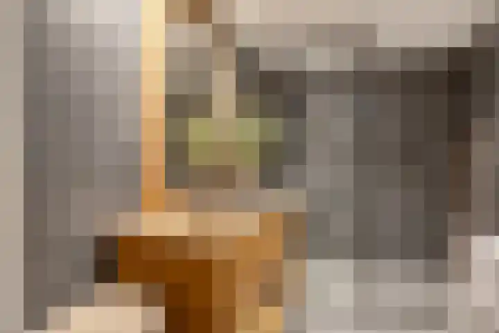 Krayenhofflaan 110 Heemskerk thumbnail 15