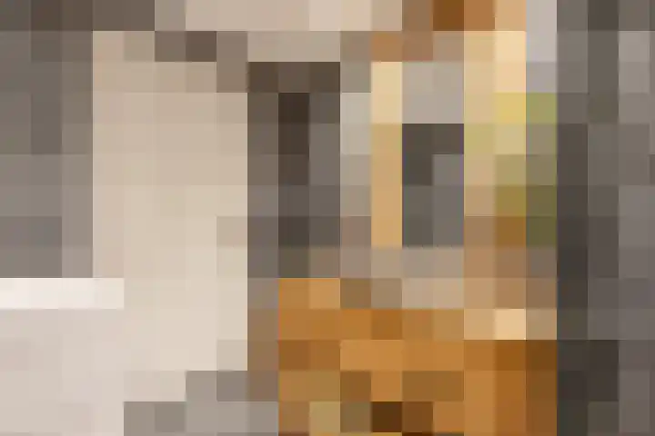 Krayenhofflaan 110 Heemskerk thumbnail 16