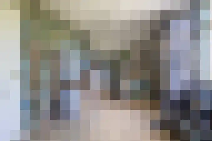 Krayenhofflaan 110 Heemskerk thumbnail 18