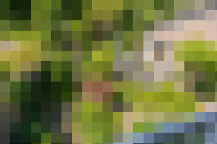 Krayenhofflaan 110 Heemskerk thumbnail 22