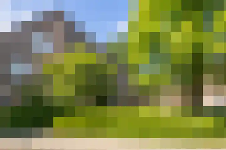 Krayenhofflaan 110 Heemskerk thumbnail 23