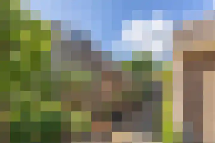 Krayenhofflaan 110 Heemskerk thumbnail 24