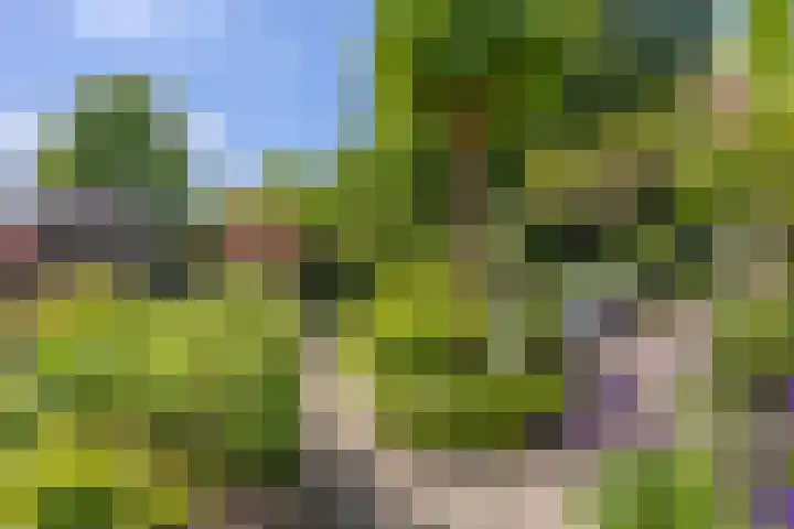 Krayenhofflaan 110 Heemskerk thumbnail 25