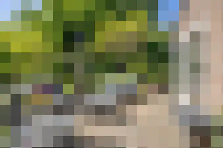 Krayenhofflaan 110 Heemskerk thumbnail 26
