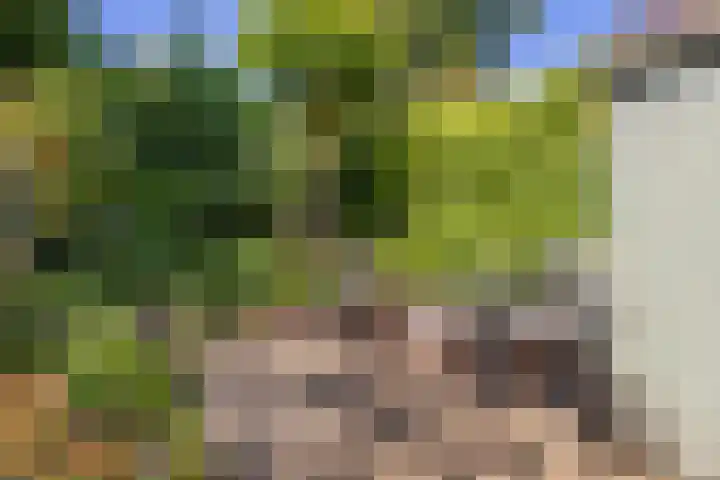 Krayenhofflaan 110 Heemskerk thumbnail 27