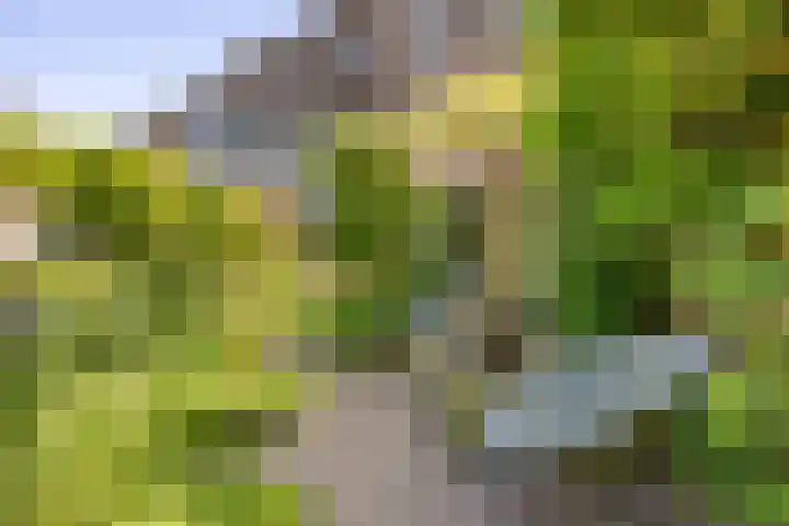Krayenhofflaan 110 Heemskerk thumbnail 28