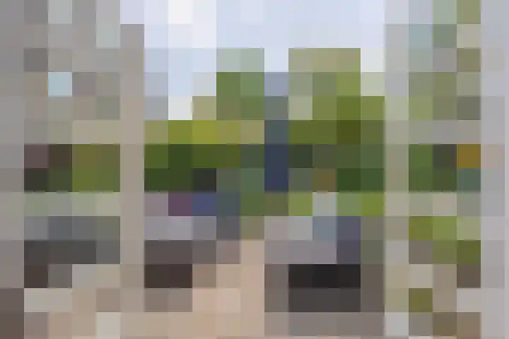 Krayenhofflaan 110 Heemskerk thumbnail 32
