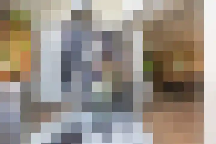 Krayenhofflaan 110 Heemskerk thumbnail 9
