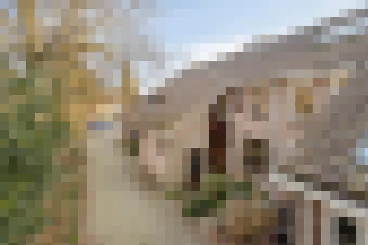Krayenhofflaan 120 Heemskerk