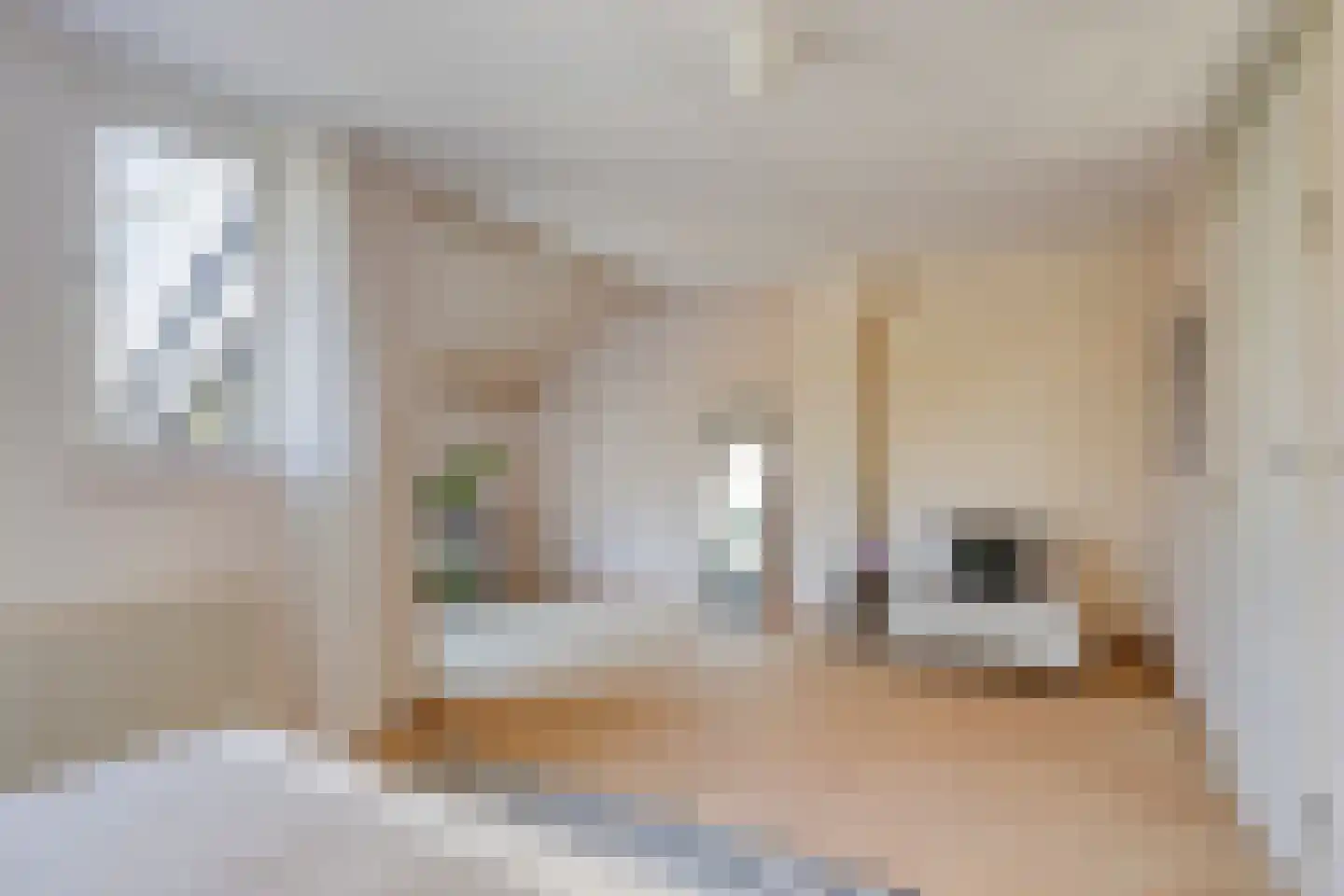 Krayenhofflaan 120 Heemskerk thumbnail 13