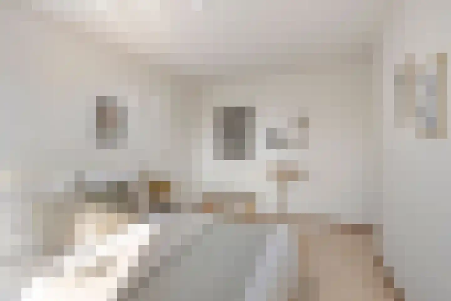 Krayenhofflaan 120 Heemskerk thumbnail 17