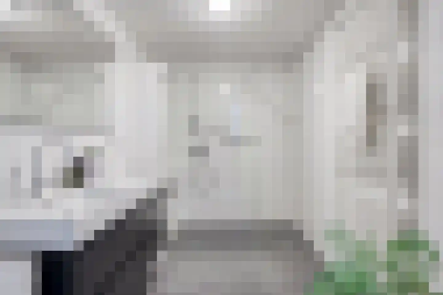 Krayenhofflaan 120 Heemskerk thumbnail 20
