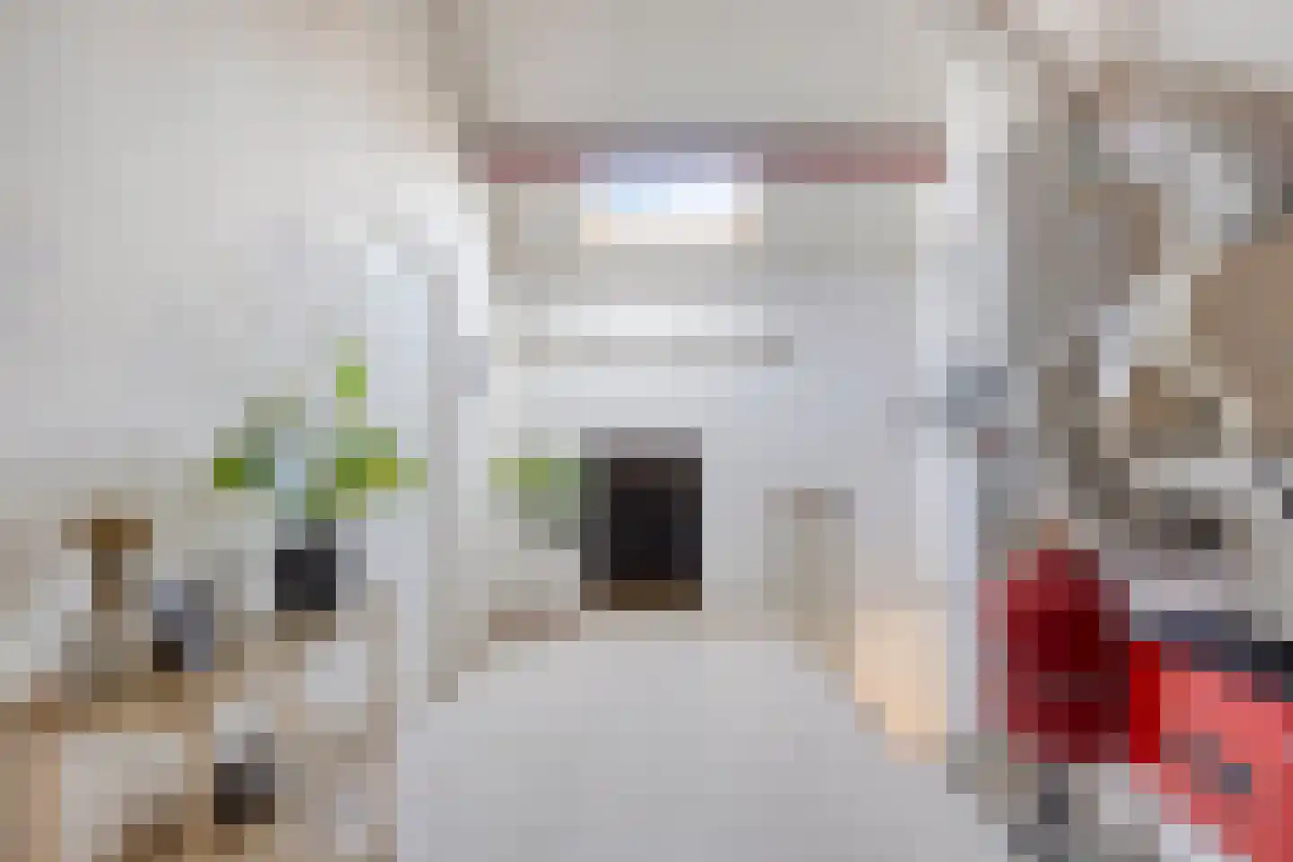 Krayenhofflaan 120 Heemskerk thumbnail 22