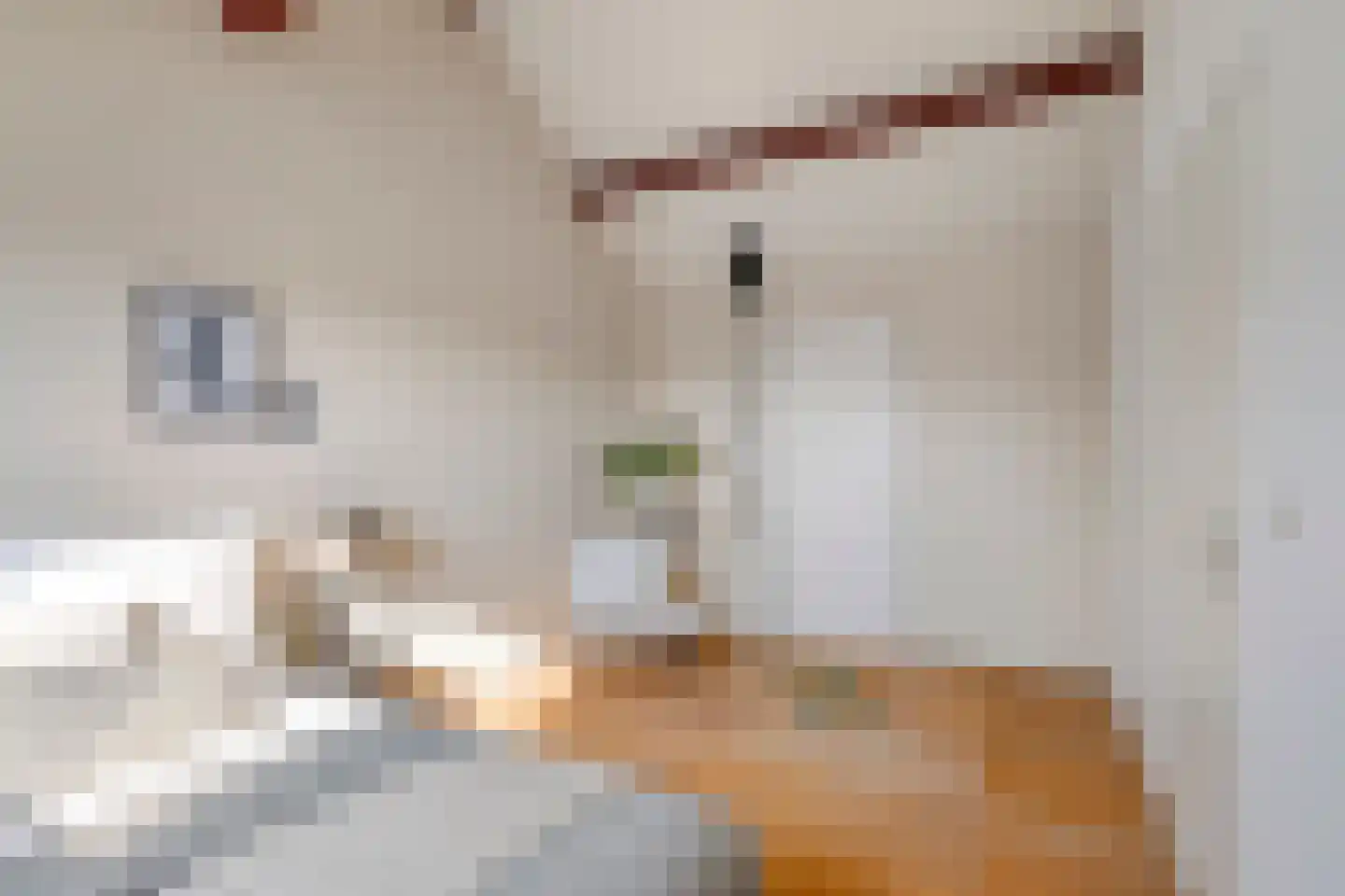 Krayenhofflaan 120 Heemskerk thumbnail 24