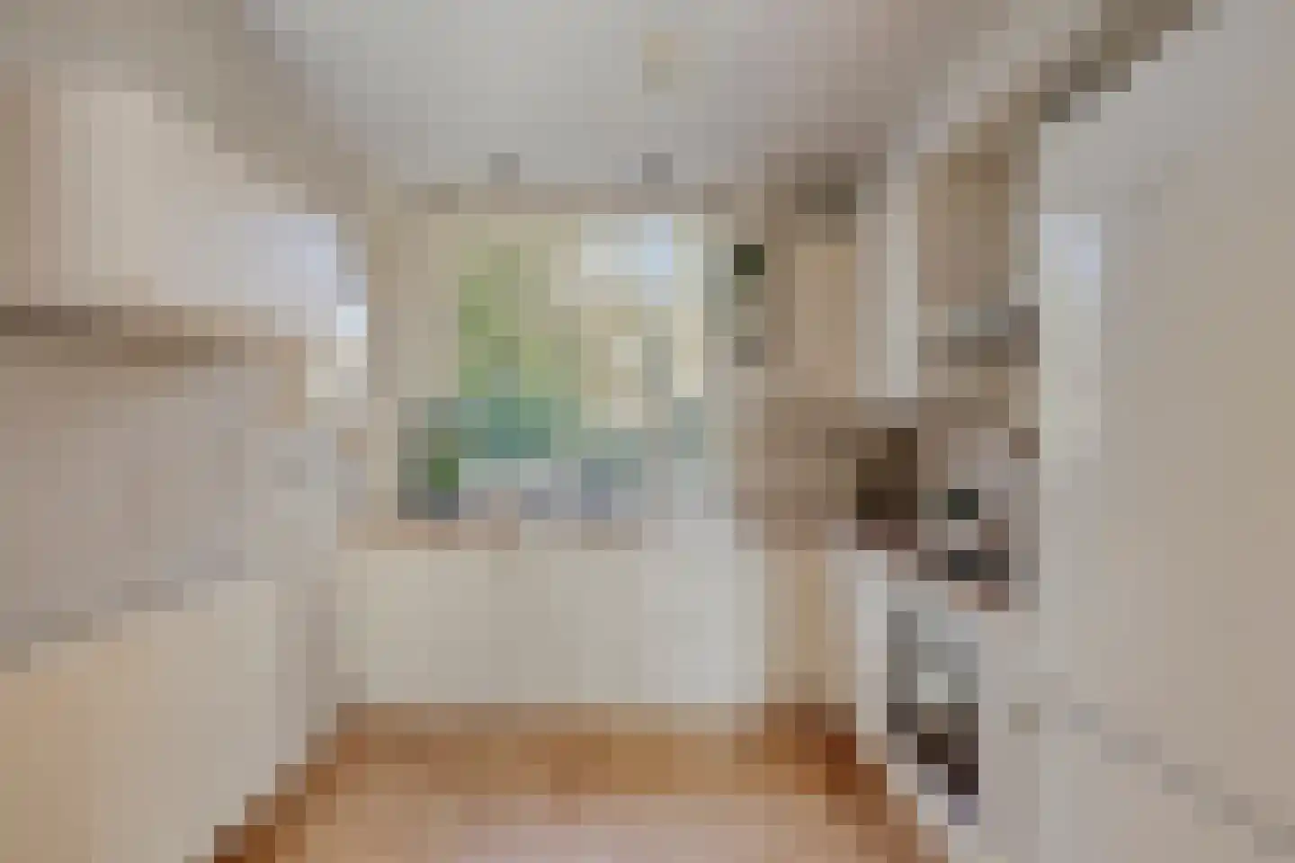 Krayenhofflaan 120 Heemskerk thumbnail 7
