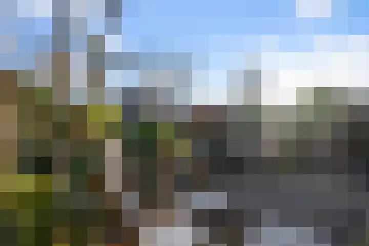 Krayenhofflaan 13 Heemskerk thumbnail 14