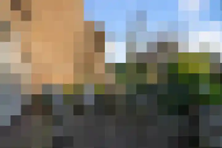 Krayenhofflaan 13 Heemskerk thumbnail 16