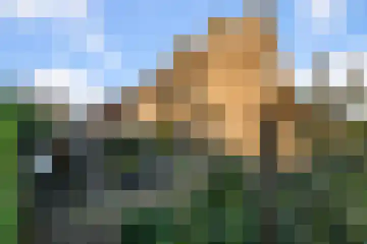 Krayenhofflaan 13 Heemskerk thumbnail 17